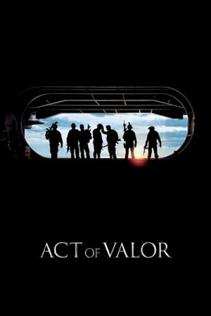 Act of Valor (2012) Hindi Dual Audio | Hindi Dubbed Movie BluRay 390MB