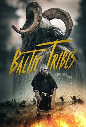 Baltic Tribes 2018 Hindi Dual Audio HDRip | Hindi Dubbed Movie – 480p