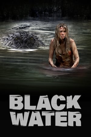 Black Water (2007) Hindi Dual Audio | Hindi Dubbed Movie BluRay [1GB]