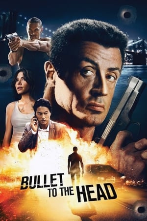 Bullet to the Head 2012 Hindi Dual Audio | Hindi Dubbed Movie BluRay 300MB