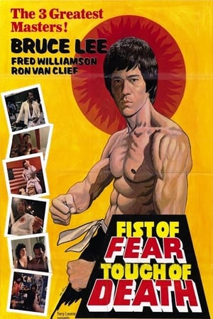 Fist of Fear Touch of Death 1980 Hindi Dual Audio | Hindi Dubbed Movie DVDRip 300MB