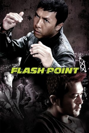 Flash Point (2007) Hindi Dual Audio | Hindi Dubbed Movie BluRay 300MB
