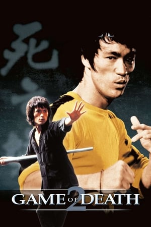 Game of Death II (1981) Dual Audio Hindi | Hindi Dubbed Movie BluRay 300MB