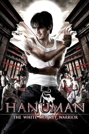 Hanuman The White Monkey Warrior 2008 Hindi Dual Audio | Hindi Dubbed Movie BluRay 300MB
