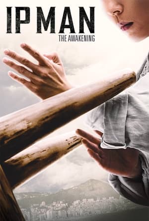 Ip Man: The Awakening (2022) Hindi Dual Audio HDRip | Hindi Dubbed Movie – 480p