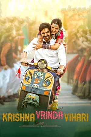 Krishna Vrinda Vihari (2022) (Hindi – Telugu) Dual Audio UnCut HDRip | Hindi Dubbed Movie – 480p