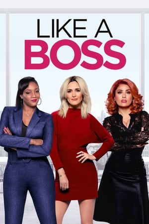 Like a Boss (2020) Hindi Dual Audio | Hindi Dubbed Movie Web-DL 300MB
