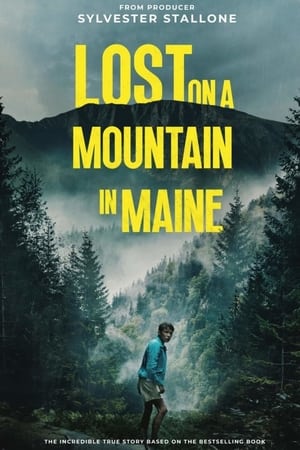 Lost on a Mountain in Maine 2024 Hindi Subbed CAMRip | Hindi Dubbed Movie