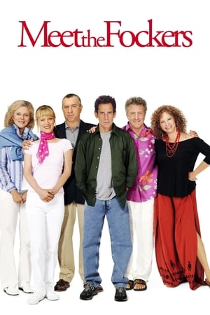Meet the Fockers (2004) Hindi Dual Audio | Hindi Dubbed Movie BluRay 380MB