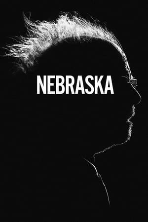 Nebraska 2013 Dual Audio Hindi | Hindi Dubbed Movie BluRay 300MB