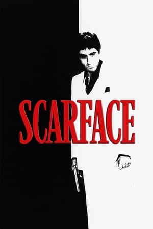 Scarface (1983) Dual Audio Hindi Movie | Hindi Dubbed Movie BluRay - 1.4GB