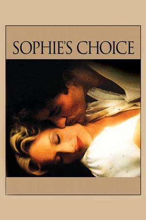 Sophie's Choice (1982) Dual Audio Hindi | Hindi Dubbed Movie BluRay 460MB