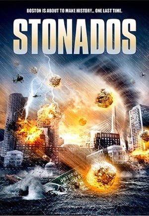 Stonados (2013) Hindi Dual Audio | Hindi Dubbed Movie BluRay 300MB
