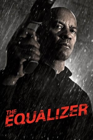 The Equalizer (2014) Hindi Dual Audio BluRay | Hindi Dubbed Movie – 480p