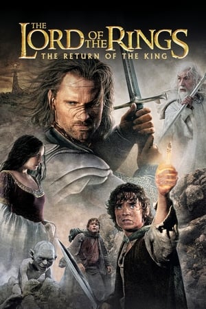 The Lord of the Rings: The Return of the King (2003) Hindi Dubbed BluRay | Hindi Dubbed Movie [1.8GB] Download