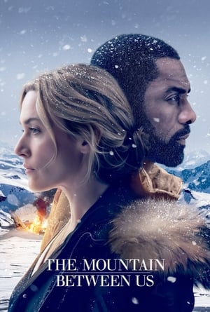 The Mountain Between Us 2017 Dual Audio Hindi | Hindi Dubbed Movie Bluray 350MB
