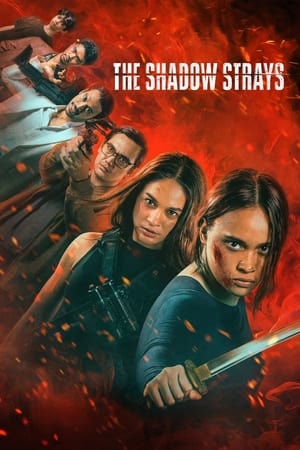 The Shadow Strays 2024 Hindi Dual Audio HDRip | Hindi Dubbed Movie – 720p – 480p