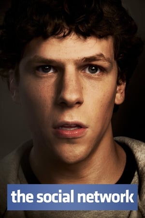 The Social Network 2010 Hindi Dual Audio | Hindi Dubbed Movie BluRay 400MB
