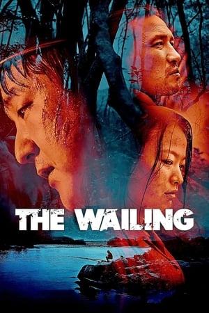 The Wailing 2016 Hindi Dual Audio | Hindi Dubbed Movie Web-DL 450MB