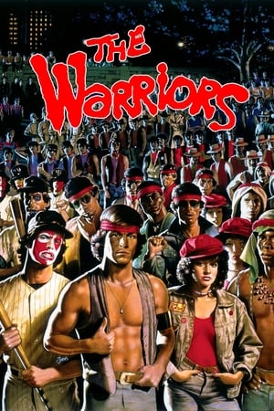 The Warriors 1979 Hindi Dual Audio | Hindi Dubbed Movie BluRay 300MB