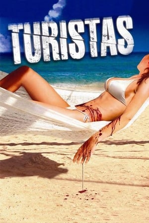 Turistas (2006) Dual Audio Hindi Full Movie | Hindi Dubbed Movie BluRay [ESubs] - 880MB