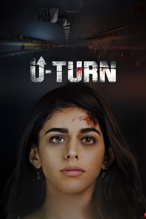 U-Turn (2023) Hindi HDRip | Hindi Dubbed Movie | 480p