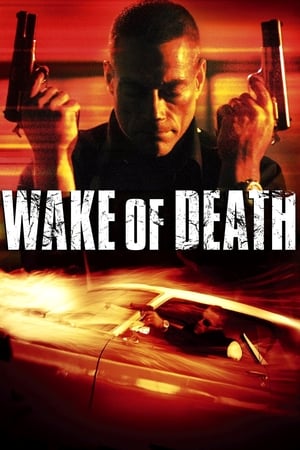 Wake of Death 2004 Hindi Dual Audio | Hindi Dubbed Movie BluRay 300MB